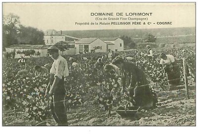 16.COGNAC.n°18.DOMAINE Von Lorimont.propriete Der Haus Pelisson Pere U
