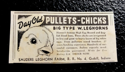 1937 Saunder s Leghorn - Chicken Farm Advertising - Grabill - Indiana Fort Wayne