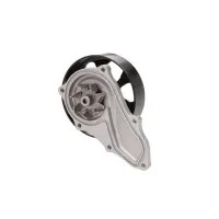 Dayco Engine Water Pump DAY-DP462