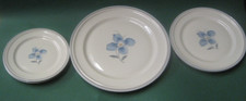 6 Teller für 2 Pers Rosenthal Winifred Elfenbein Blaue Blume  24,5/19,5/15,5 cm