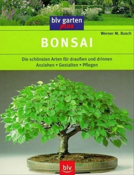efeu kreis Korbboden für Häkelkörbchen rund Ø 15 cm (Efeu) – KordelPlanet.de