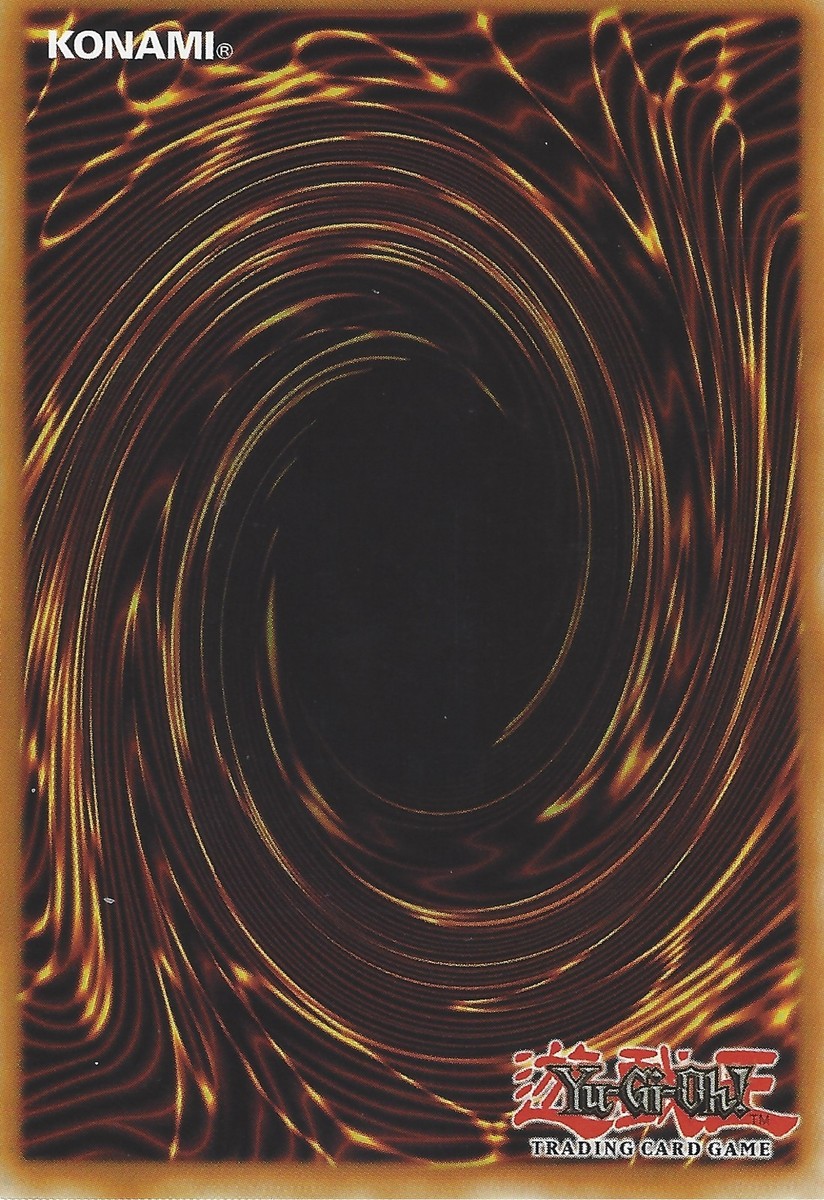 Yu-Gi-Oh! Trading Card – D/D Nighthowl (SDPD-EN009) Common 1st Edition From Pendulum Domination Structure Deck