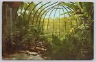 San Diego California, Zoo Tropical Rain Forest Aviary Bird Cage Vintage Postcard
