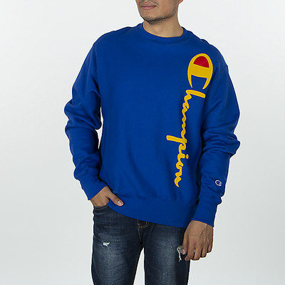 champion reverse weave oversized