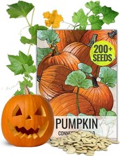 Connecticut Field Pumpkin 200+ Seeds for Planting 1 Ounce Cucurbita Pepo