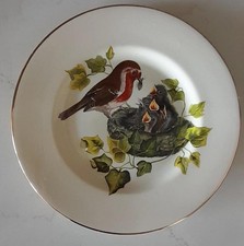 Staffordshire Royale Robin plate with gold rim