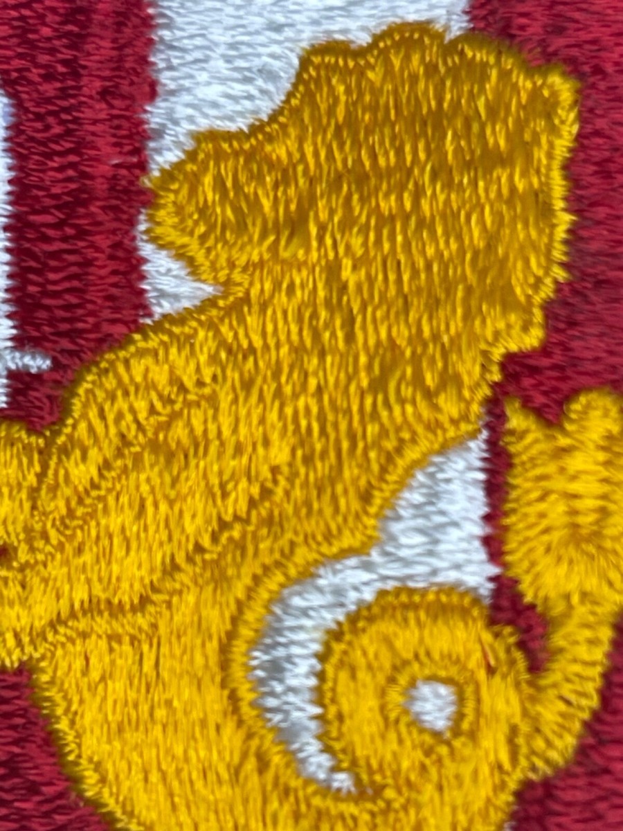 UNOFFICIAL SEA DRAGON PATCH PHILIPPINE FILIPINO PRESIDENTIAL GUARD