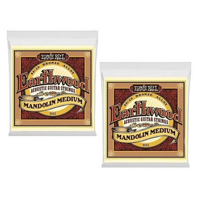 Mandolin Strings Ernie Ball 2 Pack Earthwood 2065 Medium Loop End