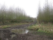 Photo 6x4 The Kirklees Way at Pildacre Mill Beck Ossett  c2017
