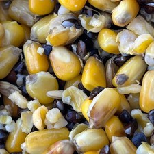 Premium Hemp & Maize , stabilised (shelf life), 2kg, fishing particle 5.25 per kilo