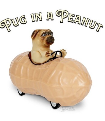 5'' Pug in a Peanut Pull-Back Car Archie McPhee Cute Gift (f8)