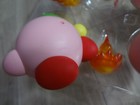 Photo 13 sur 24