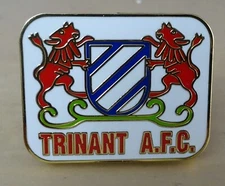 TRINANT  AFC    Enamel Lapel Badge