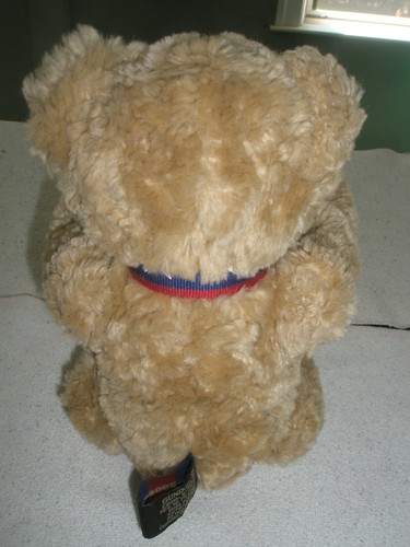 2002 GUND WISH BEAR 10" plush 100th Anniversary Of The Teddy Bear - Picture 3 of 10