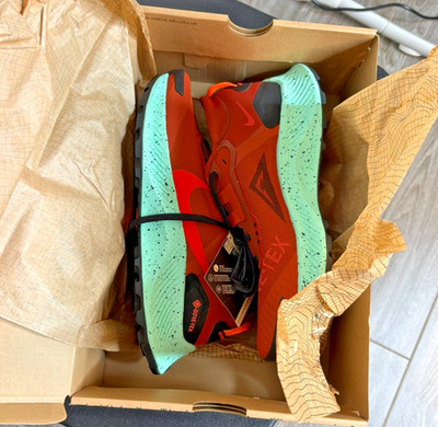 Nike Pegasus Trail 3 GTX Mens DC8793800  Rugged Orange / Habanero Red US 7.5 M