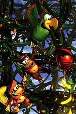 Donkey Kong Country 2 Super Console Box Game Poster print 11"x17" home decor