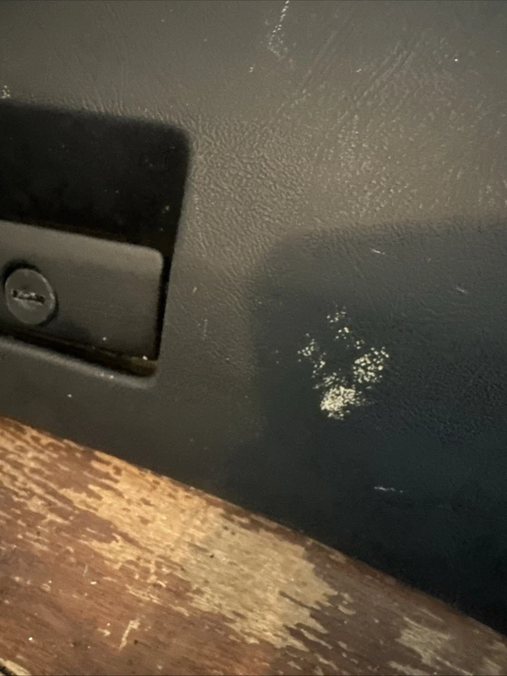 BMW 528e 535i 535is 1982-1988 interior guantera puerta estaba pintada de color negro OEM Foto 3 de 4