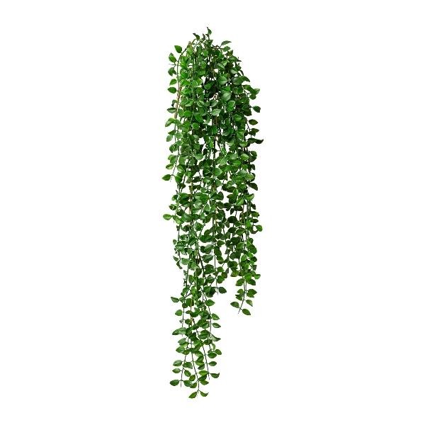artplants KüNstlicher HäNger Columnea Kolhin, Steckstab, GrüN, 85Cm-image
