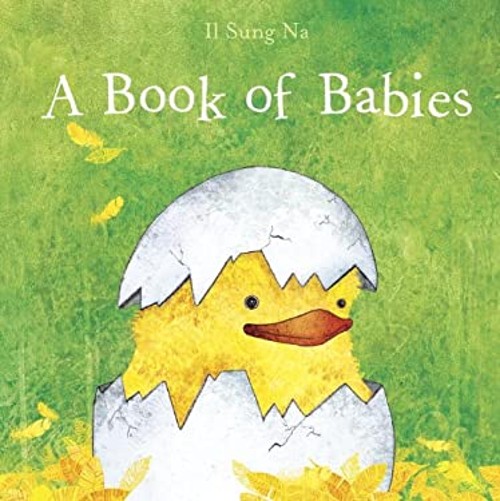 A Book of Babies Picture Book Il Sung NaFree US Delivery | ISBN:0385752903