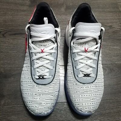 NIKE Lebron 20 XX The Debut Basketball Shoes Mens Size 16 White