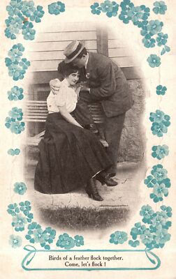 Birds Of A Feather Flock Together! Come Lets Flock Comic Antique Postcard 1900's