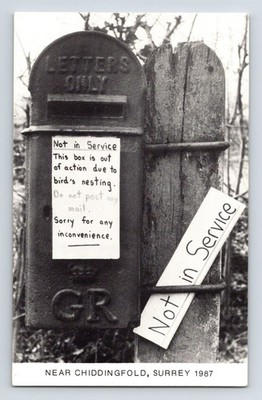 England: Chiddfold, Surrey. Briefkasten wegen nistender Vögel inaktiv.