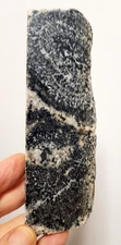 ORBICULAR GRANITE SLAB MT MAGNET WA 158 X 52 X 12 MM 244 G