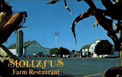 Stoltzfus Farm Restaurant Intercourse Pennsylvania vintage postcard d157