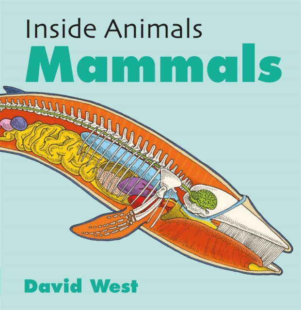 Inside Animals: Mammals by David West (Paperback Book)