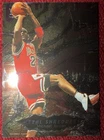 1996-97 Fleer Metal - Metal Shredders Michael Jordan #241 Card