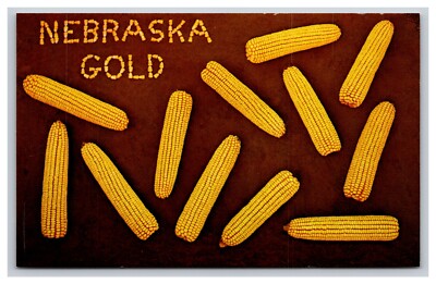 Nebraska Gold, Corn, Cornhusker State, Nebraska NE Postcard