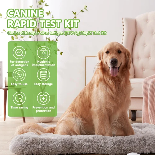 10Pack CDV - Canine Distemper Virus Home Test Kits for Dogs Veterinary Services - Picture 4 of 6