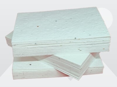  Pflanzbare Wildblumenkerne 250 g/m² Visitenkartenrohlinge, 250 g/m² Saatpapier.