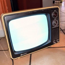 Vintage 1982 Sampo 13'' TV Black & White CRT Model B-1201BW Tested