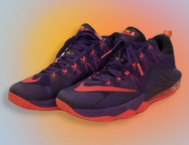 lebron 12 low court purple