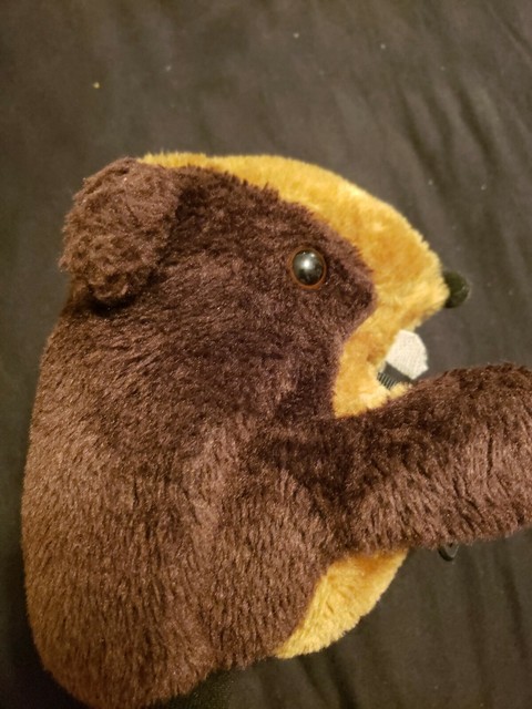 beaver headcover