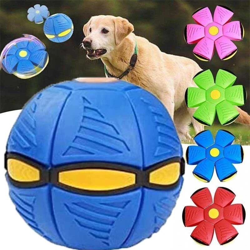 Flying Saucer Ball Dog Toy Pet