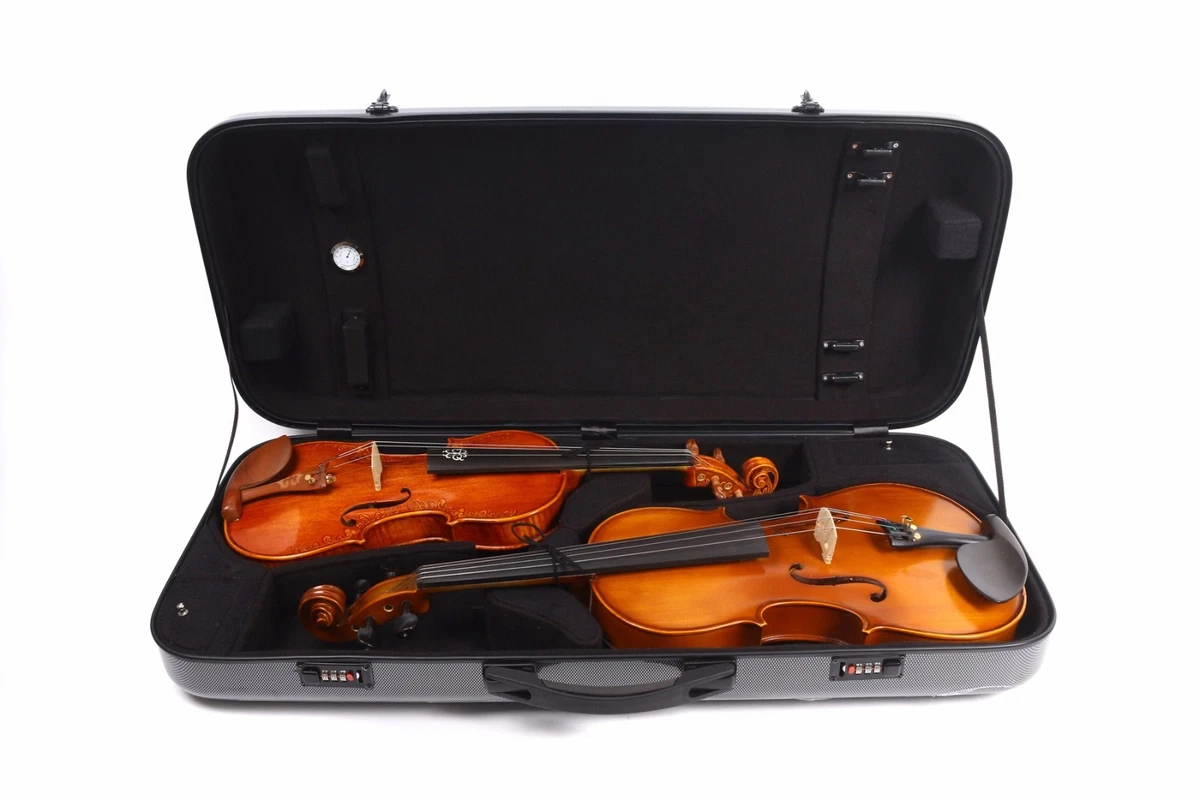 Double 2024 violin case