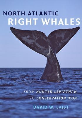 North Atlantic Right Whales : From Hunted Leviathan to Conservation Icon by ...