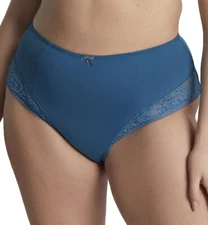 Sculptresse by Panache Roxie Highwaist Brief (9582)