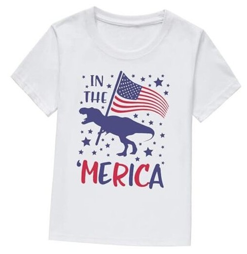 Kids Boys 4th of July Shirts Toddler American Flag T-Shirt Girls 4T Dinosaur