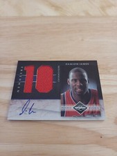 2010-11 Limited Jersey Numbers #rd /99 Damion James #24 Rookie Autograph Nets $$