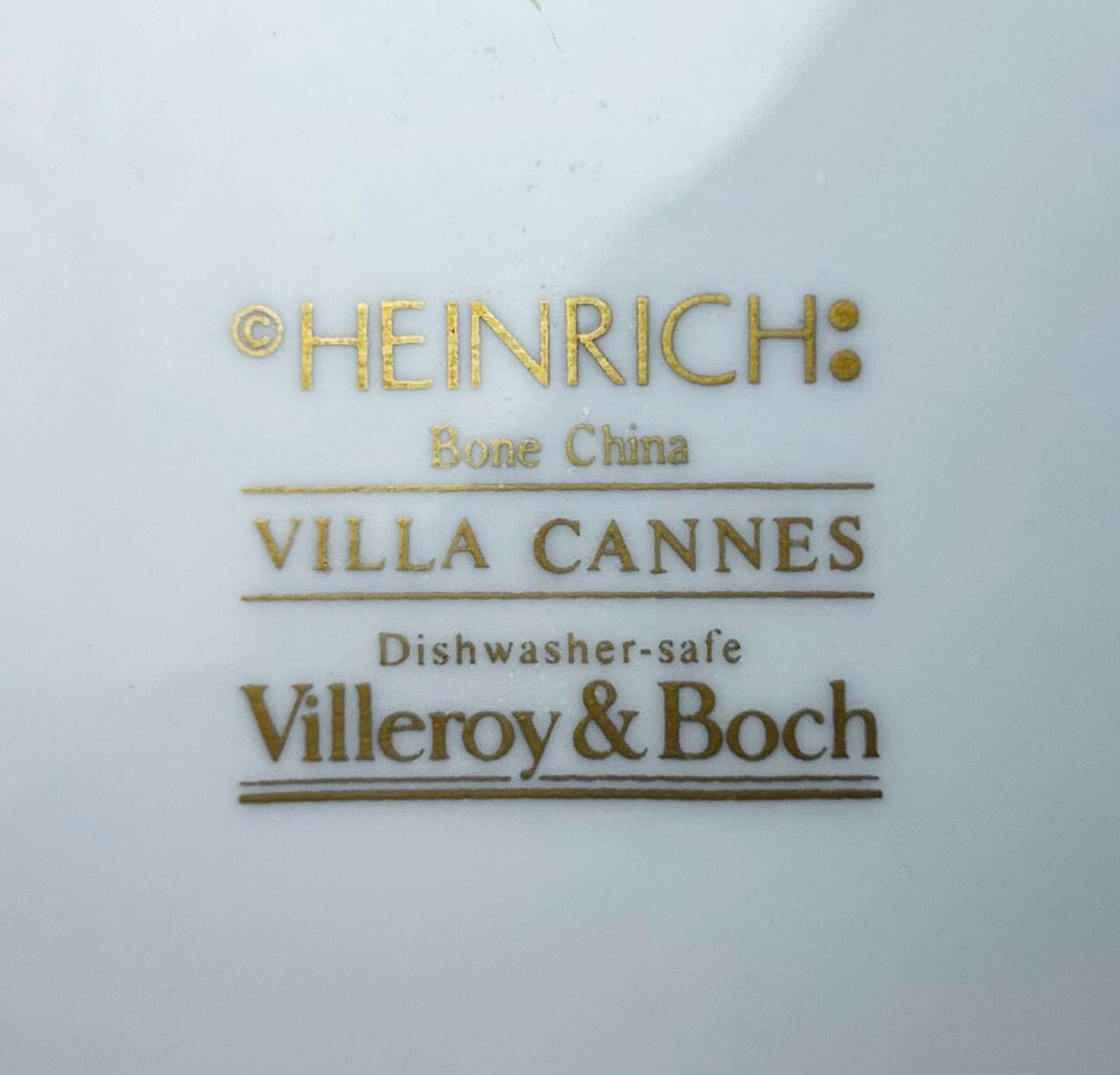 Villeroy & Boch Villa Cannes 5 piece Place Setting Bone China Made in Germany