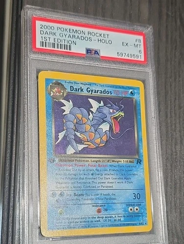 Pokémon Team Rocket Dark Gyarados Holo Rare 1st Edition 8/82 PSA 6 2000