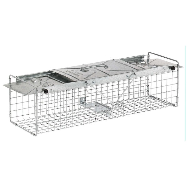 Havahart 1045 Live Animal 2door Cage Trap Raccoon Stray Cat Opossum &groundhog for sale online