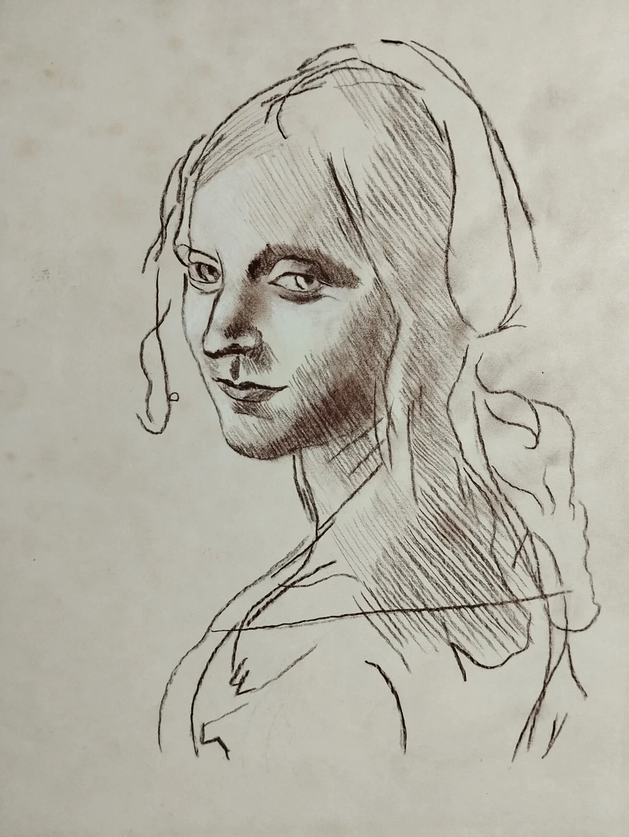 Leonardo da 2024 vinci drawing
