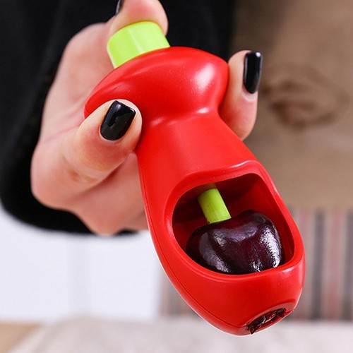 Tragbarer Kirsch-/Olivenentkerner Steingrubenentferner einfacher Druckgriff CF SCHNELL - Bild 11 von 20