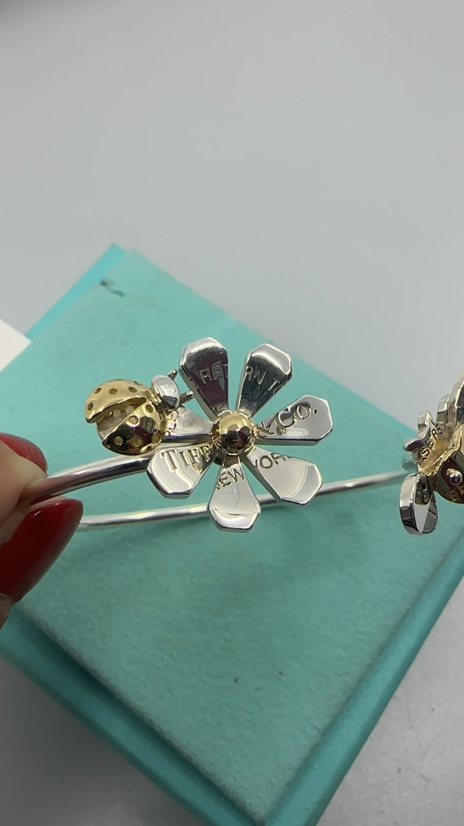 Tiffany & Co. love セット TIFFANY Co. Return T&Co 18k Gold & Silver Love Bug Butterfly