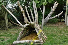 Photo A3 Raveningham Sculpture Trail 2020: Unspecified work 1 Brundish/ c2020