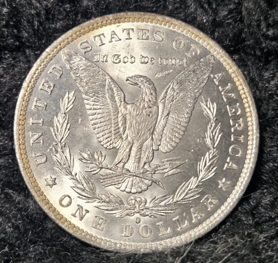 1884-O MORGAN MAJOR REVERSE STRUCK THRU/Die Clash  ERROR Silver Dollar Frosty  - Image 4 of 4